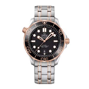 Omega Seamaster Diver 300m Watch, 42mm Black Dial, 210.20.42.20.01.001