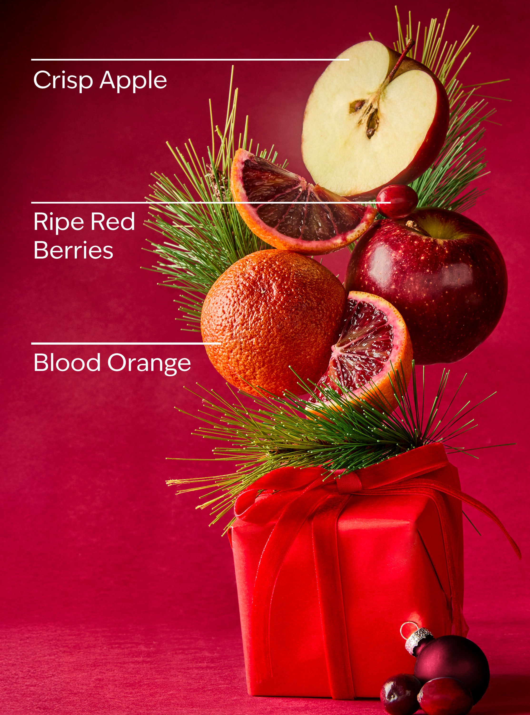 Bright Christmas Morning - Image 3